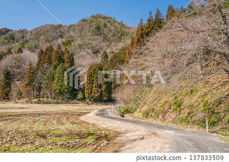 滋賀縣長濱市琵琶湖西阿西町的田園風光 滋賀縣長濱市琵琶湖西阿西町的田園風光 137833509