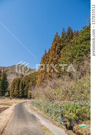 滋賀縣長濱市琵琶湖西阿西町的田園風光 滋賀縣長濱市琵琶湖西阿西町的田園風光 137833512