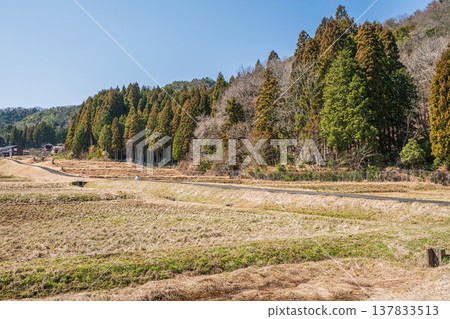 滋賀縣長濱市琵琶湖西阿西町的田園風光 滋賀縣長濱市琵琶湖西阿西町的田園風光 137833513