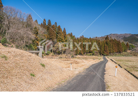 滋賀縣長濱市琵琶湖西阿西町的田園風光 滋賀縣長濱市琵琶湖西阿西町的田園風光 137833521
