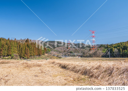 滋賀縣長濱市琵琶湖西阿西町的田園風光 滋賀縣長濱市琵琶湖西阿西町的田園風光 137833525