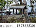Bird house 137833580