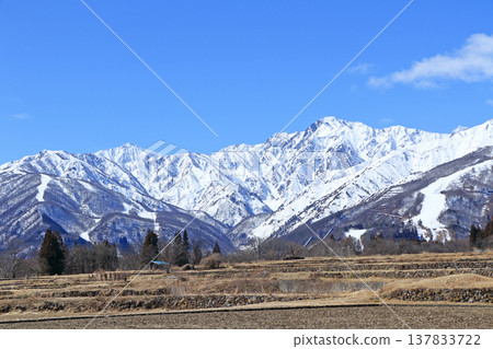 白馬山麓的春雪融化 137833722