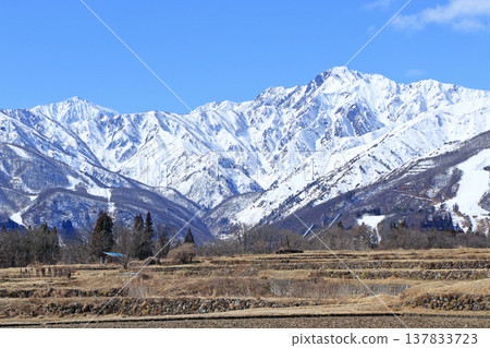 Spring melts in the foothills of Mt. Hakuba Spring melts in the foothills of Mt. Hakuba 137833723