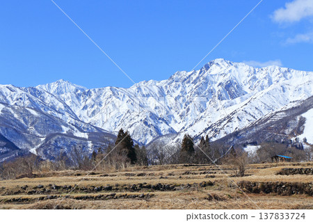Spring melts in the foothills of Mt. Hakuba Spring melts in the foothills of Mt. Hakuba 137833724