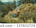 Aso Mountain controlled burning as seen from the car window 137833728