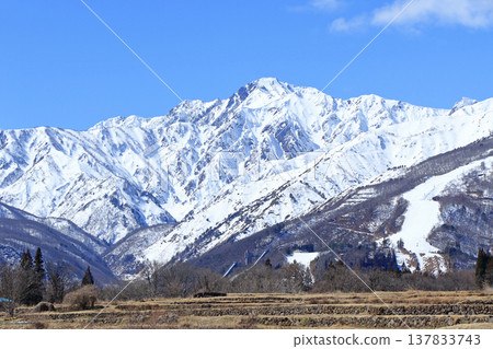 白馬山麓的春雪融化 137833743