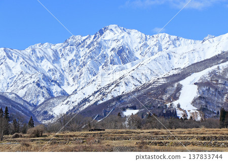 白馬山麓的春雪融化 137833744