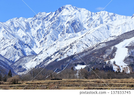 白馬山麓的春雪融化 白馬山麓的春雪融化 137833745