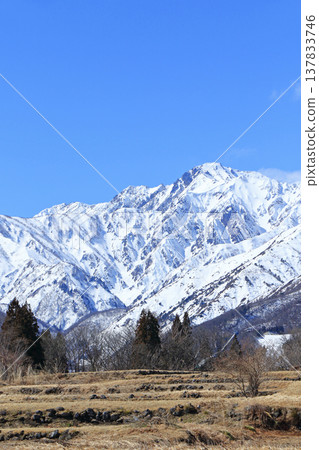 白馬山麓的春雪融化 白馬山麓的春雪融化 137833746