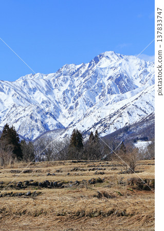 白馬山麓的春雪融化 137833747