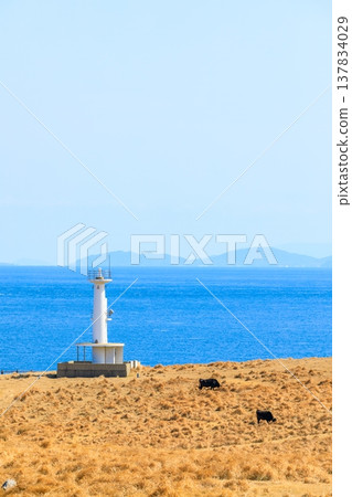 Kabeshima Island in early spring: Pastures and Hizen Tateishizaki Lighthouse, Karatsu City, Saga Prefecture Kabeshima Island in early spring: Pastures and Hizen Tateishizaki Lighthouse, Karatsu City, Saga Prefecture 137834029
