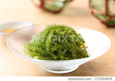 Okinawa Prefecture sea grapes Okinawa Prefecture sea grapes 137834053