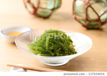 沖繩縣產海葡萄 沖繩縣產海葡萄 137834054