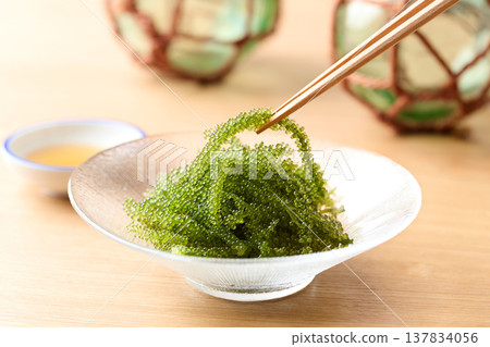 沖繩縣產海葡萄 137834056