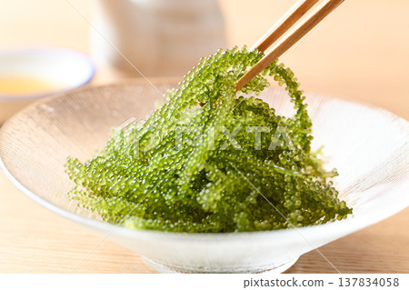 沖繩縣產海葡萄 137834058