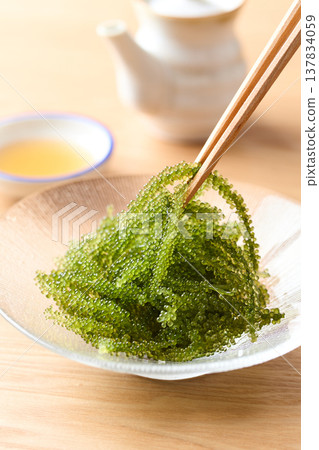 沖繩縣產海葡萄 137834059
