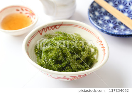 沖繩縣產海葡萄 沖繩縣產海葡萄 137834062