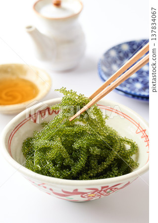 Okinawa Prefecture sea grapes Okinawa Prefecture sea grapes 137834067