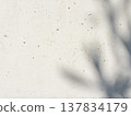 Shadows of plants cast on a concrete wall 137834179