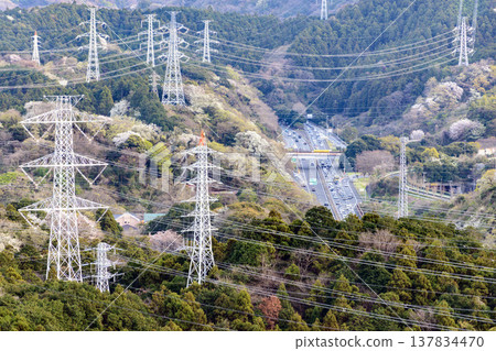 三浦半島 [春季] 橫濱-橫須賀高速公路逗子交流道附近 137834470