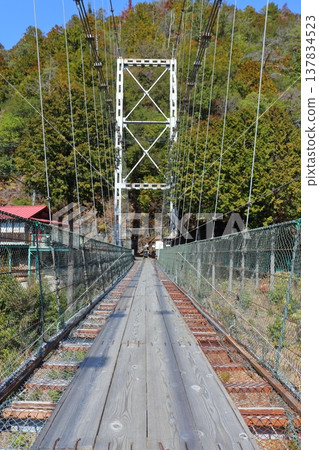 谷澤吊橋,谷澤側(奈良縣戶津川村) 谷澤吊橋,谷澤側(奈良縣戶津川村) 137834523