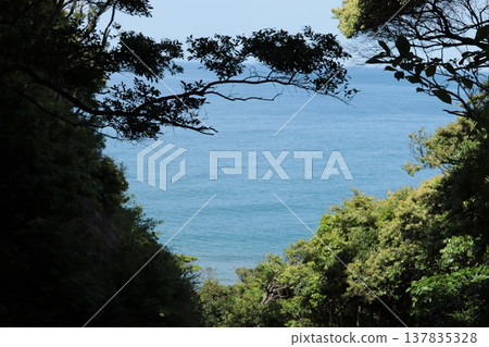 從白兔山眺望心型大海 137835328