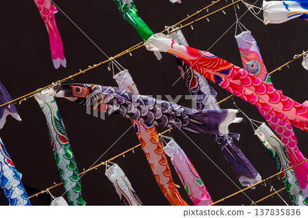 一大群鯉魚擬餌 一大群鯉魚擬餌 137835836