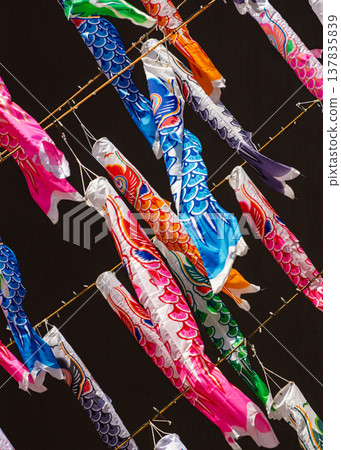 一大群鯉魚擬餌 一大群鯉魚擬餌 137835839