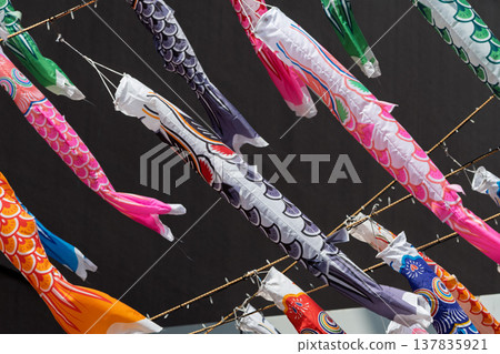 一大群鯉魚擬餌 一大群鯉魚擬餌 137835921