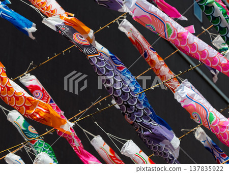 一大群鯉魚擬餌 一大群鯉魚擬餌 137835922