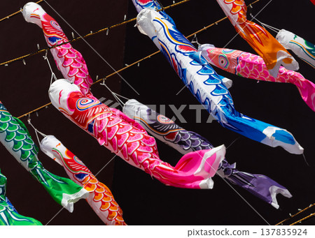 一大群鯉魚擬餌 一大群鯉魚擬餌 137835924