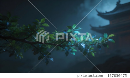 japanese cherry blossom in the dark night japanese cherry blossom in the dark night 137836475