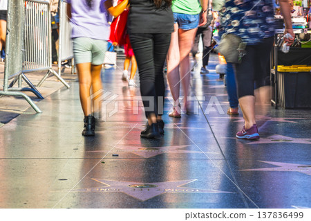 Hollywood Walk of Fame 137836499