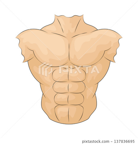 Illustration of Abs Illustration of Abs 137836695