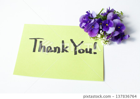 Thank you in English Thank you in English 137836764