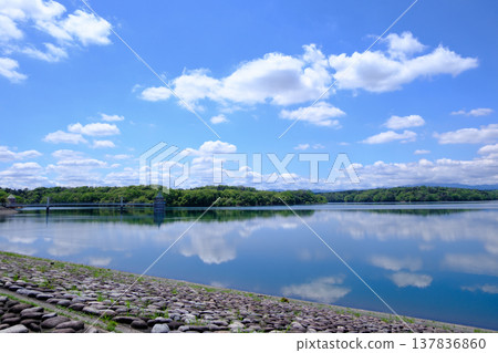 On the shore of Sayama Lake On the shore of Sayama Lake 137836860