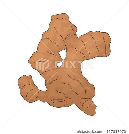 Illustration of Ginger 137837070