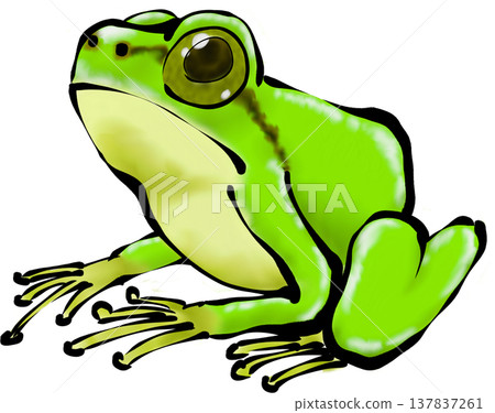 青蛙材料 137837261