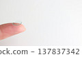 A hard contact lens placed on the index finger. 137837342