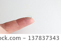 A hard contact lens placed on the index finger. 137837343