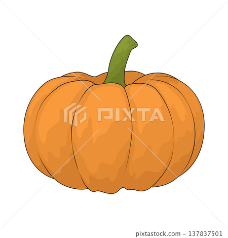Illustration of Pumpkin Illustration of Pumpkin 137837501