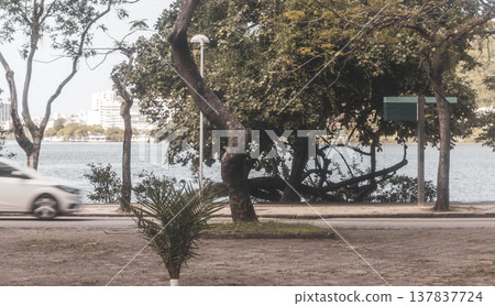 Barra da Tijuca Beach Tropical Paradise Rio de Janeiro Brazil. 137837724