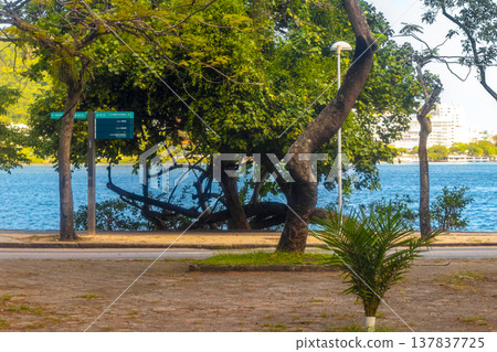 Barra da Tijuca Beach Tropical Paradise Rio de Janeiro Brazil. 137837725