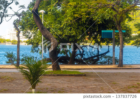 Barra da Tijuca Beach Tropical Paradise Rio de Janeiro Brazil. 137837726