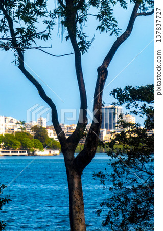 Barra da Tijuca Beach Tropical Paradise Rio de Janeiro Brazil. 137837727