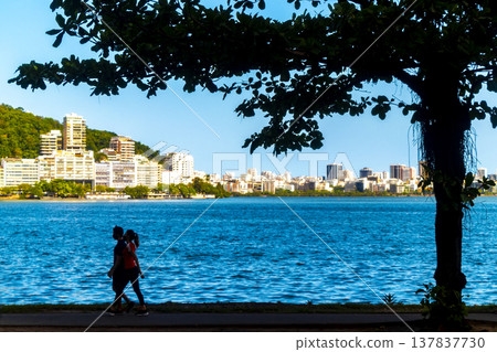 Barra da Tijuca Beach Mountain Skyline Rio de Janeiro Brazil. 137837730