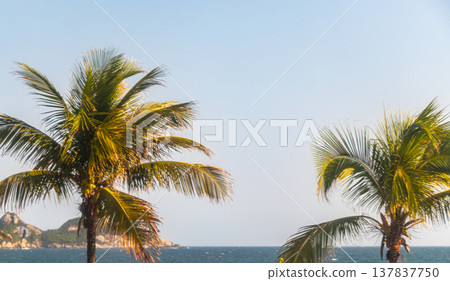 Barra da Tijuca Beach Tropical Paradise Rio de Janeiro Brazil. Barra da Tijuca Beach Tropical Paradise Rio de Janeiro Brazil. 137837750