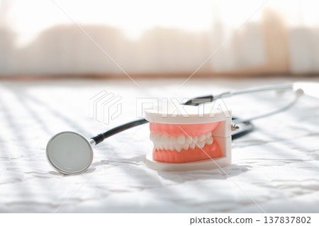 Dental plastic tooth model and stethoscope on white background with soft sunlight. Concept of dental health care, oral hygiene, medical checkup, stomatology, insurance and dentistry professional. Dental plastic tooth model and stethoscope on white background with soft sunlight. Concept of dental health care, oral hygiene, medical checkup, stomatology, insurance and dentistry professional. 137837802
