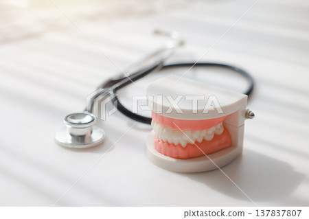 Dental plastic tooth model and stethoscope on white background with soft sunlight. Concept of dental health care, oral hygiene, medical checkup, stomatology, insurance and dentistry professional. 137837807